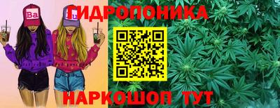бошки Будённовск