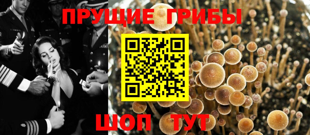 что такое наркотик  Вход с VPN  Сибай  Галлюциногенные грибы мицелий  Псилоцибиновые грибы мухоморы 